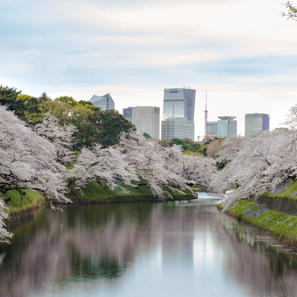 destino_japon-imagen_cuadrada_2