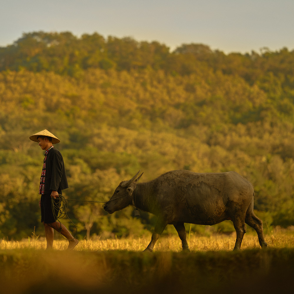 destino_laos-imagen_cuadrada_1