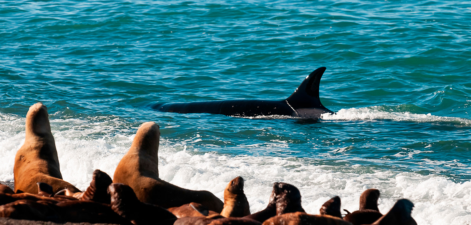 imagen-contenido-destino_argentina_01